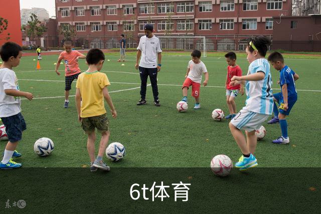 6t体育公司展示图